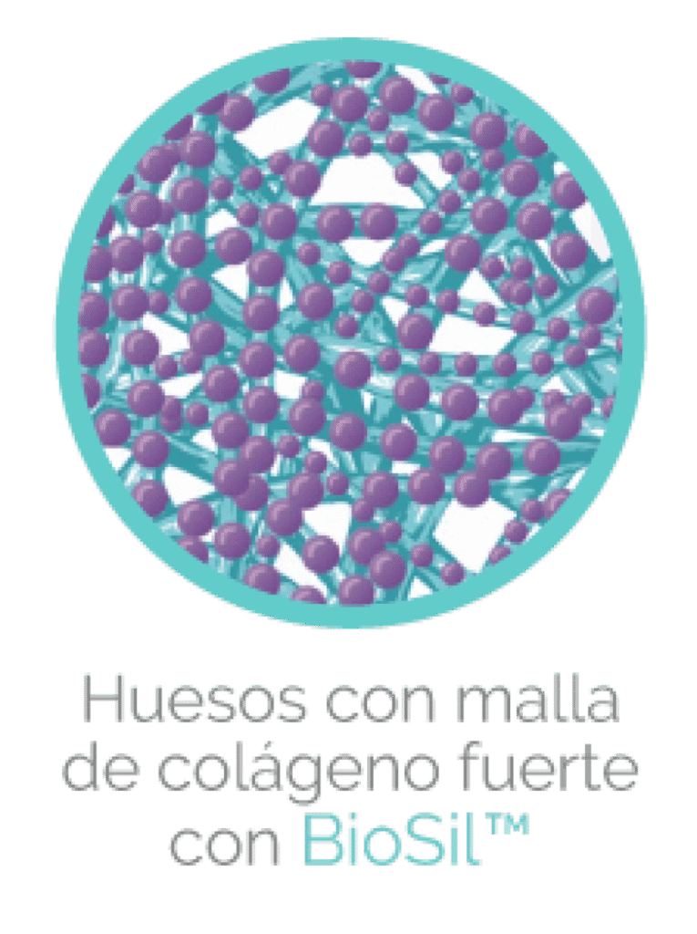 huesos fuertes